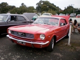 Select Image to Enlarge