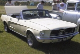 Select Image to Enlarge