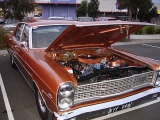 Select Image to Enlarge