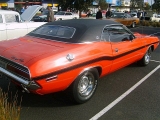 Select Image to Enlarge