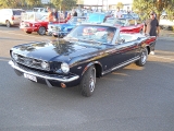 Select Image to Enlarge