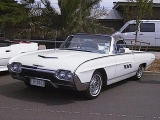 Select Image to Enlarge