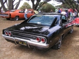 Select Image to Enlarge