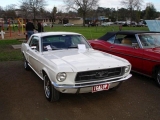 Select Image to Enlarge