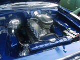 Select Image to Enlarge