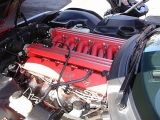 Select Image to Enlarge