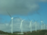 Select Image to Enlarge