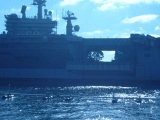 Select Image to Enlarge