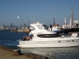 Select Image to Enlarge
