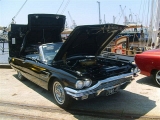 Select Image to Enlarge