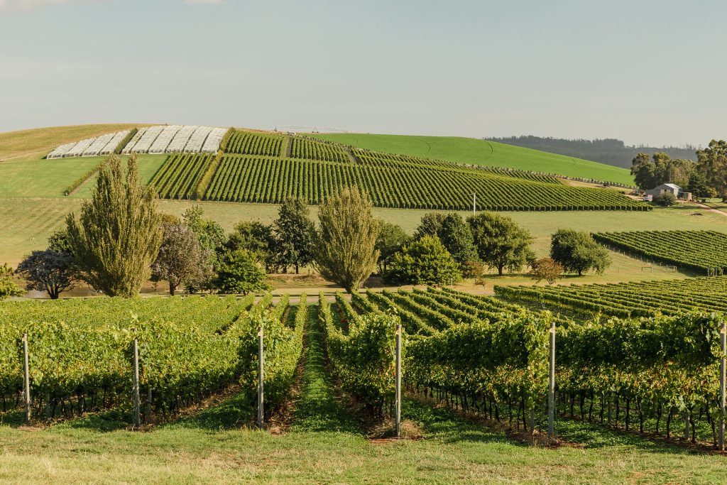 Jansz Tasmania