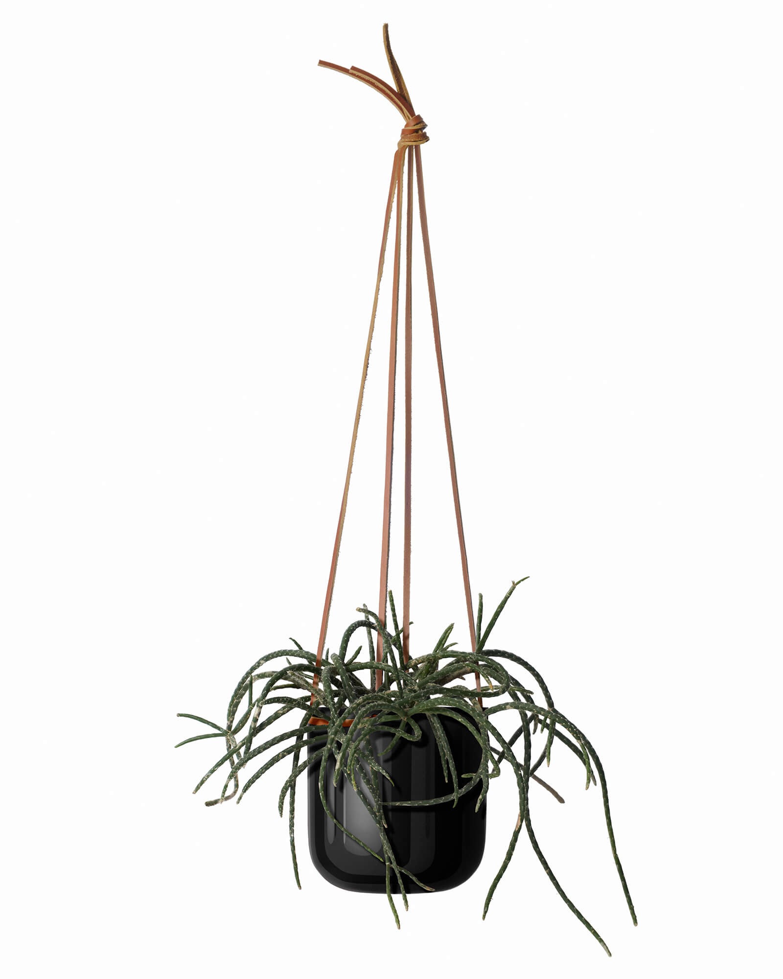 Hanging Planter Medium - Black | Loam