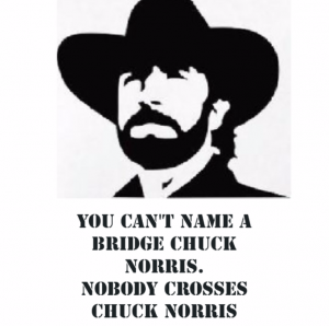 Chuck Norris Bridge