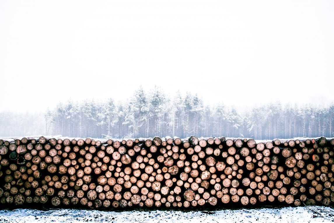 Got Wood? Timber Types & What They're Good For