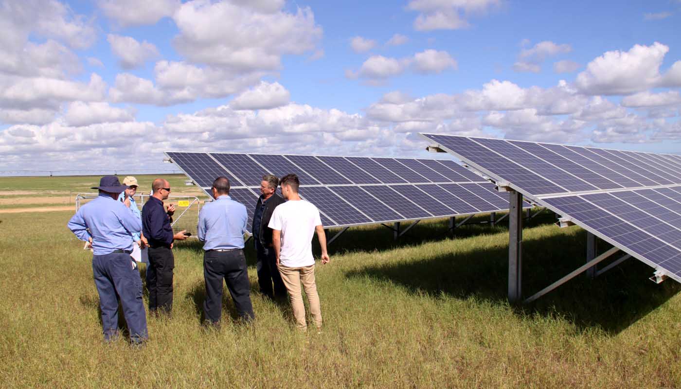 Farmers Feeling the Heat, and Making the Most Of It