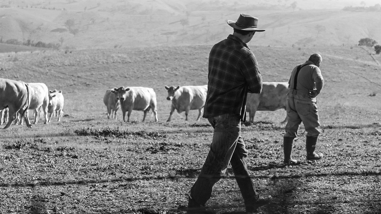 $700,000 NSW Dairy Industry Funding