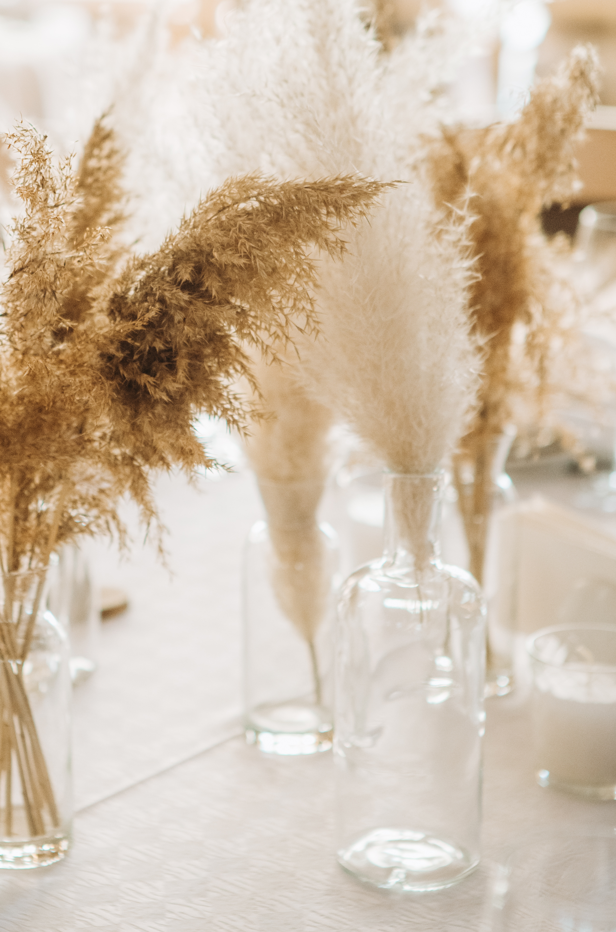 AdobeStock_249360280