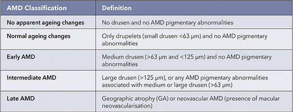 Amd Classification Grading mivision education