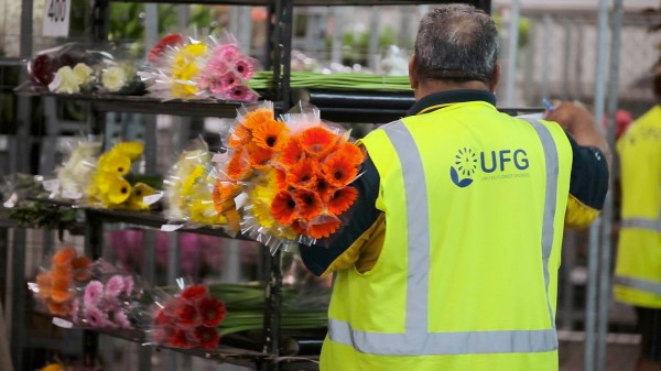 UFG_Auction_Still_2