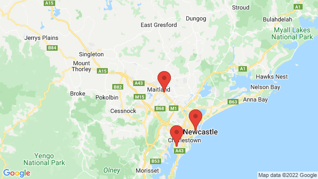 SsangYong dealers Maitland