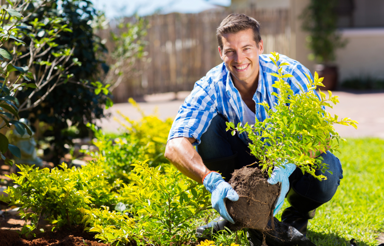 gardening-788x505.png
