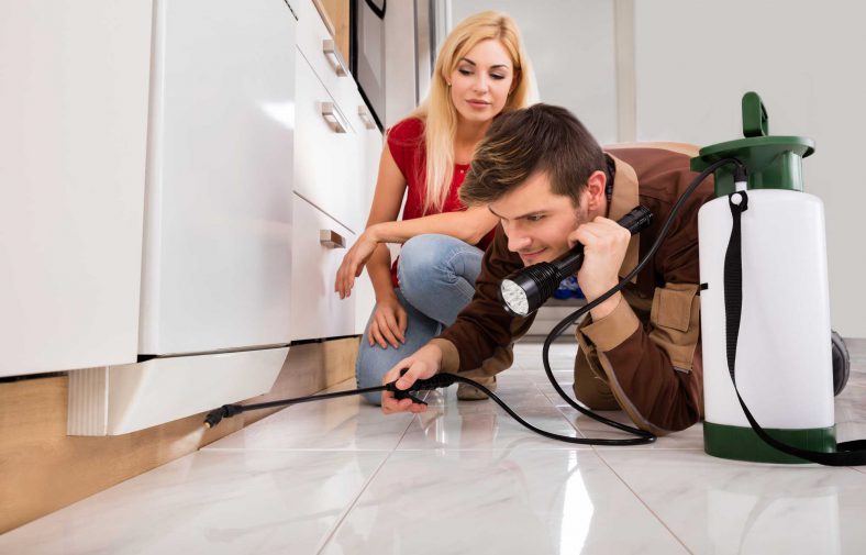 pests-inspection-788x505.jpg