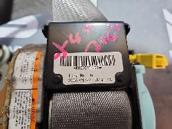 View Auto part Seatbelt/Stalk Honda Civic 2004