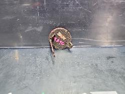 View Auto part Front Bumper Kia Cerato 2017