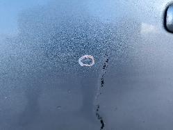 View Auto part Left Rear Door/Sliding Honda Civic 2007
