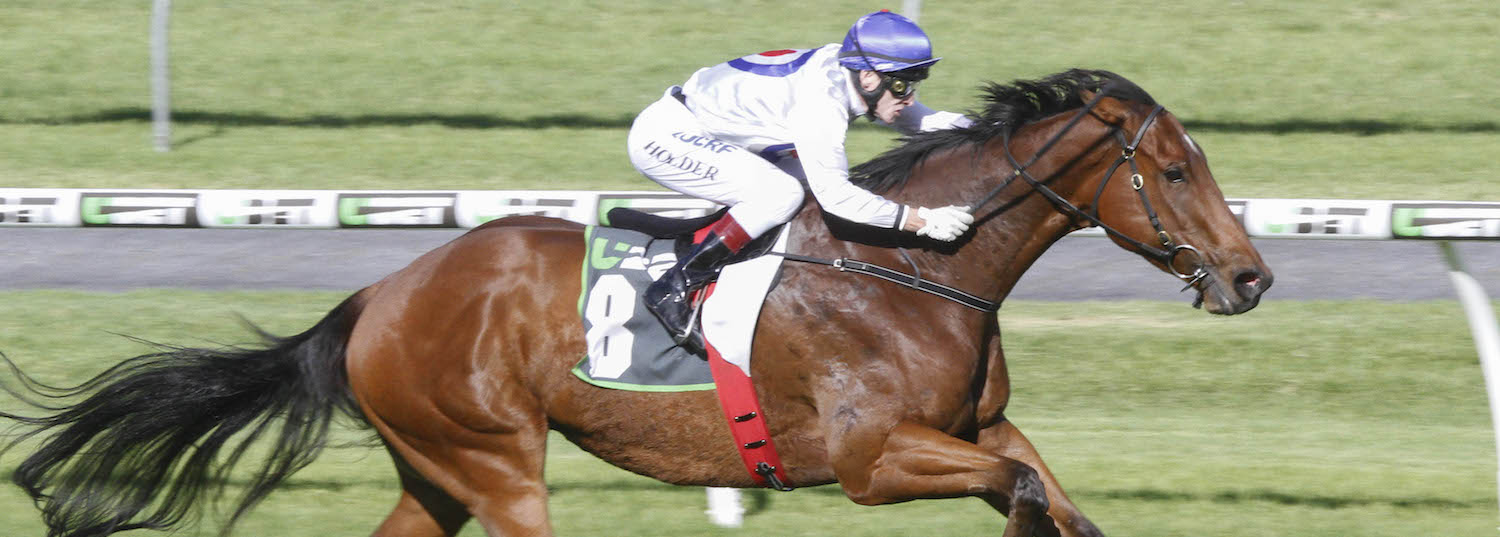 Australian Horse Trainer David Jolly Racing