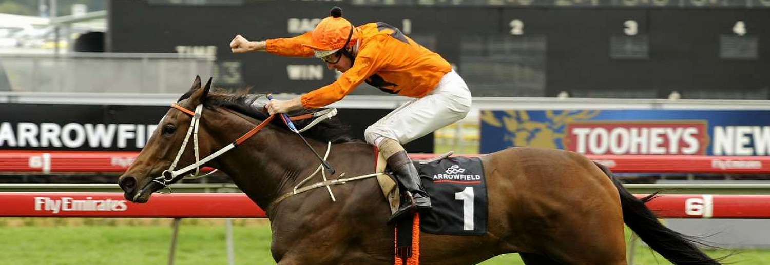 Australian Horse Trainer Kris Lees Racing
