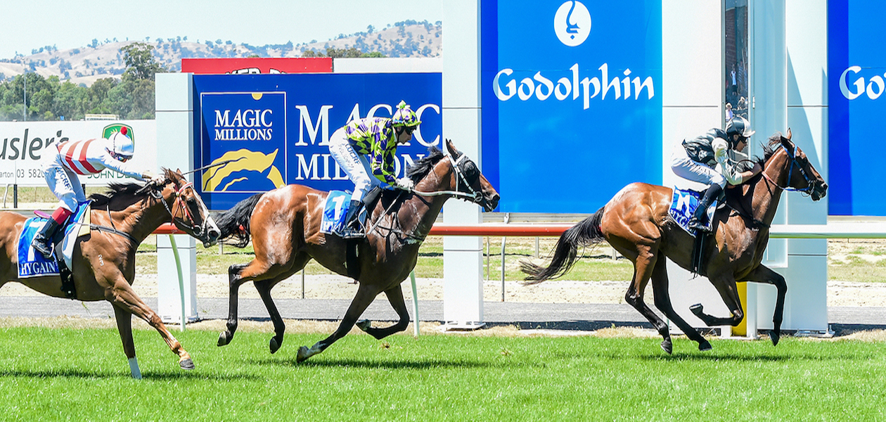 Australian Horse Trainer Hazel Park Racing