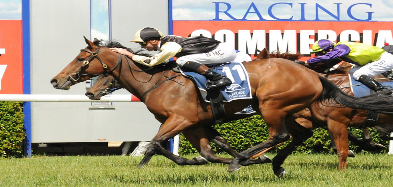 Australian Horse Trainer Hazel Park Racing
