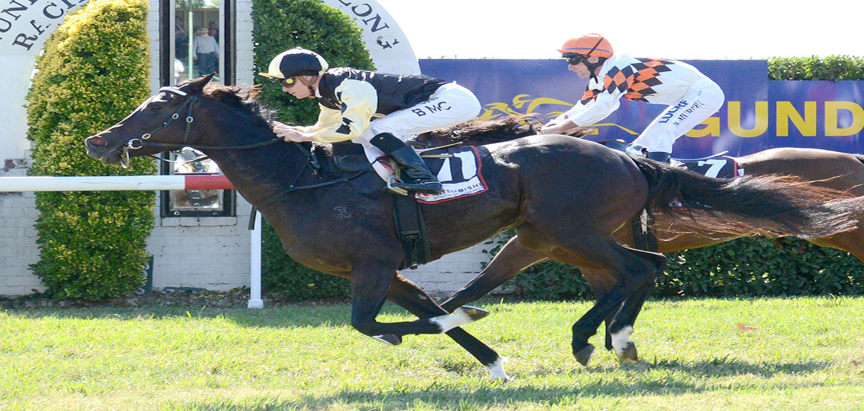 Australian Horse Trainer Hazel Park Racing
