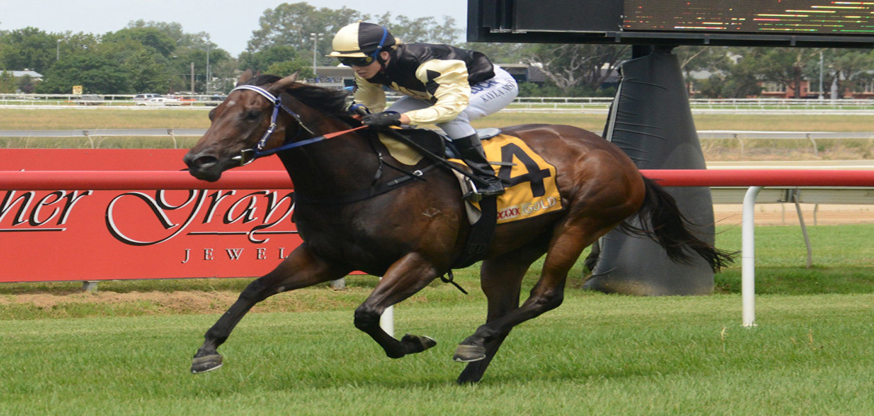Australian Horse Trainer Hazel Park Racing