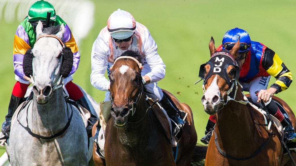 Fiery Heights up to another stakes test