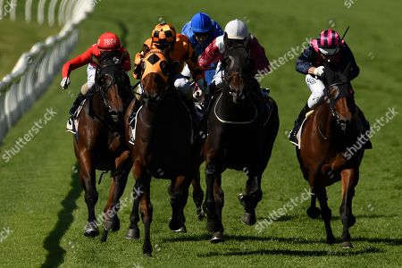 Cruze scores deserved win on Doomben 10,000 day.