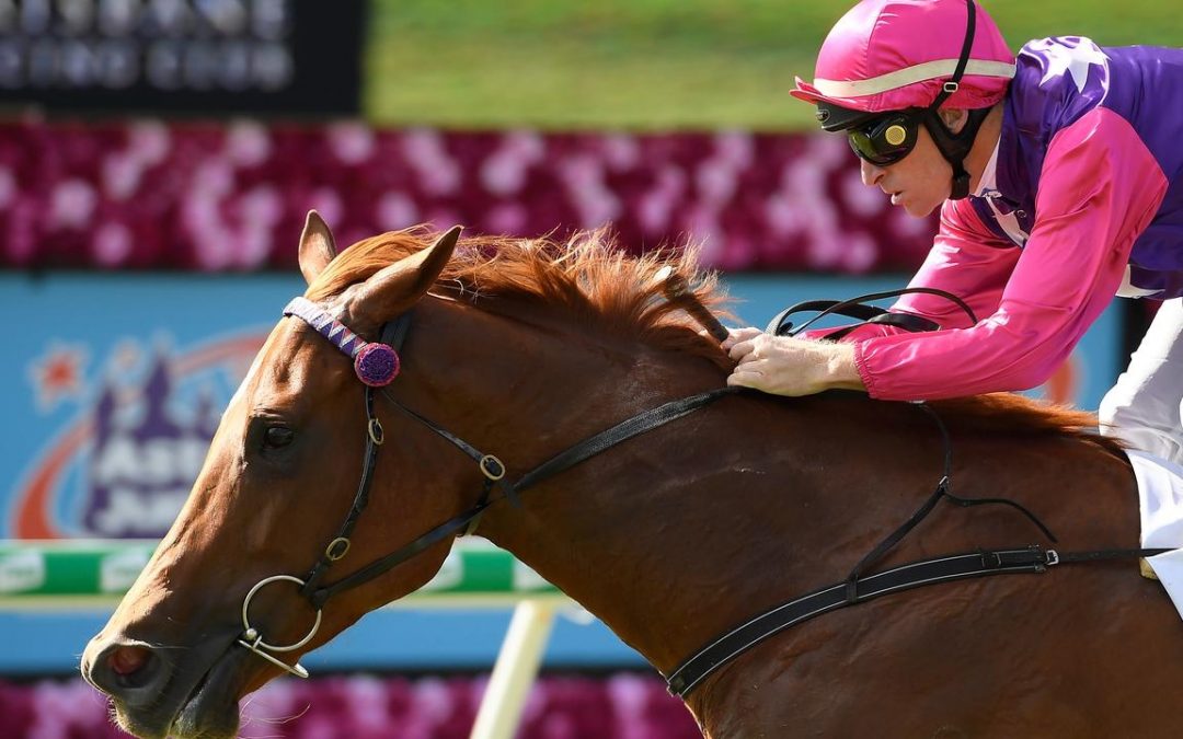Lockwood rues sire’s move to South Africa after Adoradancer win