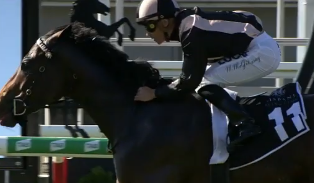 Invincible Gangsta gets the cash at Eagle Farm