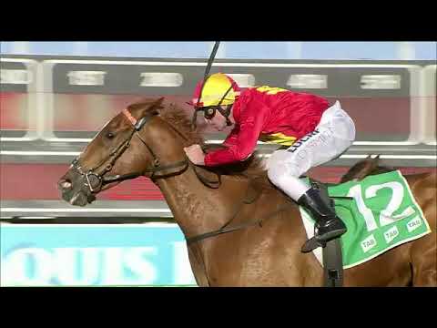 Fratellino first home on the Gold Coast