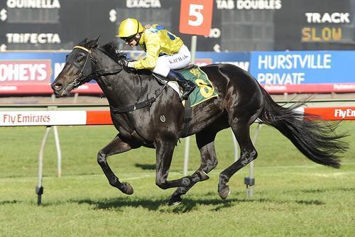 Trebbiano Trounces Them At Randwick
