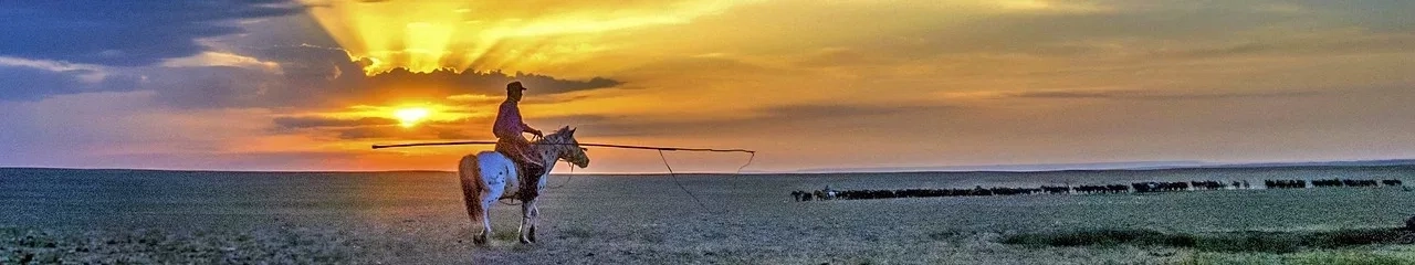 Mongolian Nomads