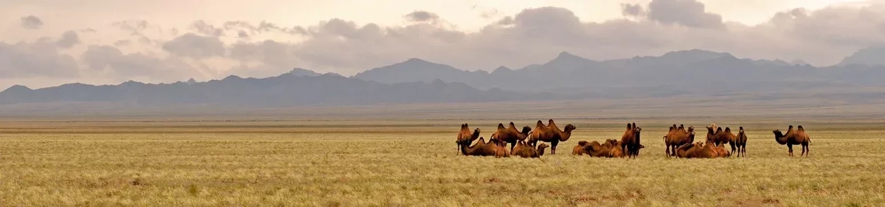 Tourist attractions in Mongolian Gobi Desert