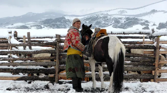 Mongol-horse-in-winter