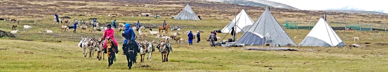 Mongolia coronavirus situation