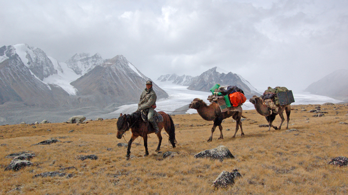 Camel herder, Western Mongolia Camel herder, Western Mongolia