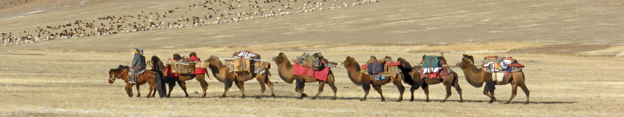 Things To Do In Mongolia In November