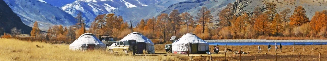 8 things to do while staying with nomadic family