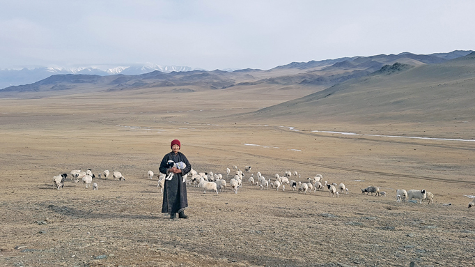 Spring in Mongolia Spring in Mongolia
