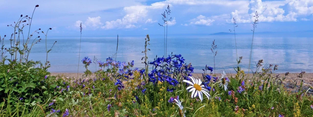 Northern Mongolia Tours Travel